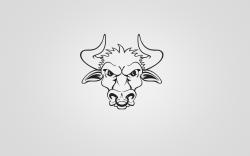 Bull Horns Minimalism