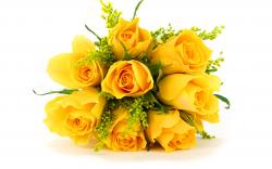 Bunch yellow roses