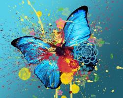 butterfly - art-and-pictures Wallpaper