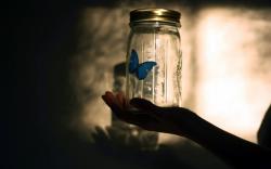 Butterfly Blue Jar