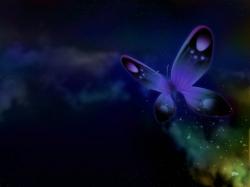 ... Purple Butterfly Wallpaper ...