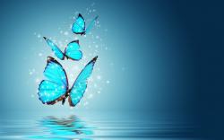 Abstract Blue Butterfly Insect Hd Wallpapers High Resolution