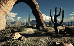 landscapes nature desert cactus wallpaper