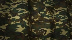 Camouflage Wallpaper and Border at The Camo Shop: Buy these Camouflaged Pattern Wallpapers and Borders here at The Camo Shop. View products like Classic ...