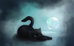 Cat Black Art