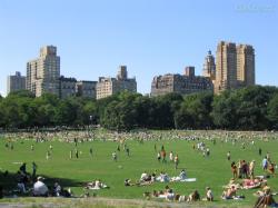 As one of America's greatest works of art and the nation's first public park, Central Park has become the most famous and beloved urban park in the world.