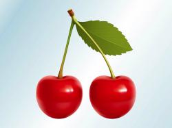 Realistic Cherries