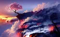 Cherry blossoms and lava ...