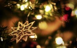 New Year Christmas Tree Lights Star Winter HD Wallpaper