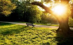 City park bench sunset