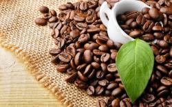 Moderate coffee consumption linked to lower risk of clogged…