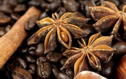 Coffee Anise Cinnamon Spices Photo