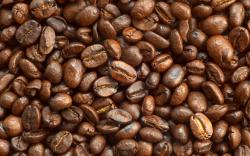 Coffee and coffee beans close-up 15665