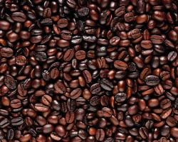 Free Coffee Beans Wallpaper 42405 1920x1200 px