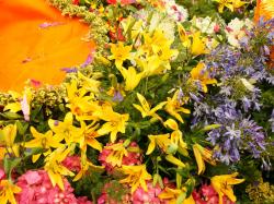 Colorful tropical flowers with yellow Stargazer and pink Hortensia