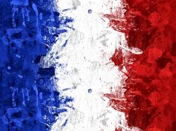 France Flag Wallpaper 25951 1920x1440 px
