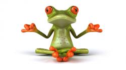 Funny Yoga Frog Wallpaper Picture 280