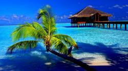 ... cool-water-tropical-wallpapers ...