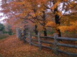 Country Fence Wallpaper 13639