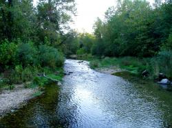 Mill Creek provides a suitable habitat for trout is now a managed fishery. Additional Picture