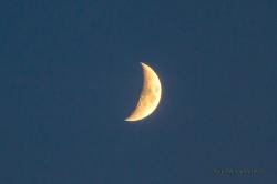 SkyWatch Friday: Crescent Moon