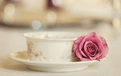 Cup Rose Pink