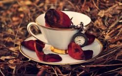 Cup Rose Red Petals Clock Leaves Autumn