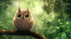 Image for cute owl wallpaper