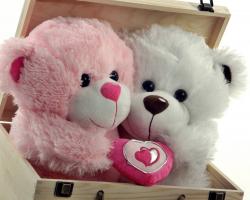 Plush Toy Buy Valentine A Cute Teddy Bear ...