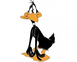 Daffy Duck Cartoons