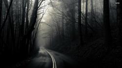 Download Road through the dark woods wallpaper