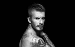 David Beckham 2014 wallpapers David Beckham pics