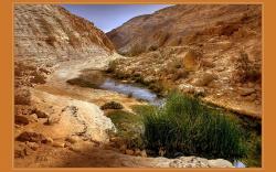 Desert stream nature 1280x768