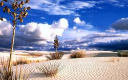 Very Beautiful Desert Cloudy View