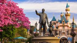 Get details on special offers for the Disneyland Resort Hotels and theme parks to make your visit even more magical.