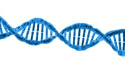 DNA High Resolution Backgrounds