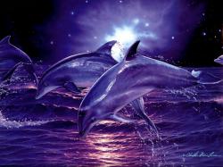 Image for Free Dolphins Wallpaper