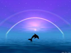 Dolphins ~♥ Dolphins ♥ ~