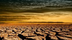 Drought Cracked Fields HD wallpapers