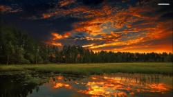 ... Forest Pond at Dusk wallpaper 1920x1080 1080p ...