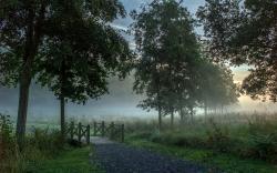 Early morning mist