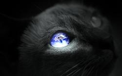 Earth Cat eye