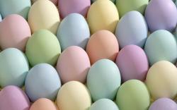 Colorful Eggs Wallpaper 44337