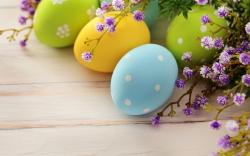 Easter Spring Holiday Eggs Branch Flowers
