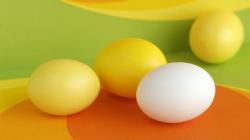 Download Eggs Wallpaper :