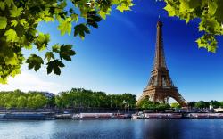 Eiffel Tower Summer