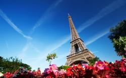 HD Wallpaper | Background ID:330104. 2560x1600 Man Made Eiffel Tower