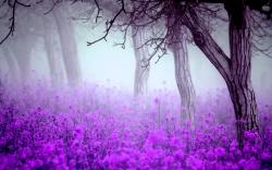 Fantastic Purple Flowers Wallpaper
