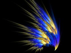 FEATHER Wallpaper - Download The Free COLORFUL FEATHER Wallpaper .