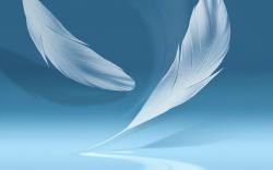 ... feather-wallpapers ...